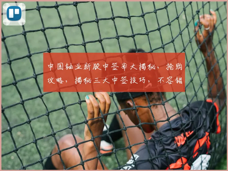 中国铀业新股中签率大揭秘，抢购攻略，揭秘三大中签技巧，不容错过