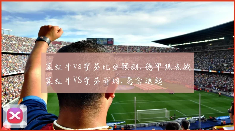 莱红牛vs霍芬比分预测,德甲焦点战莱红牛VS霍芬海姆,悬念迭起